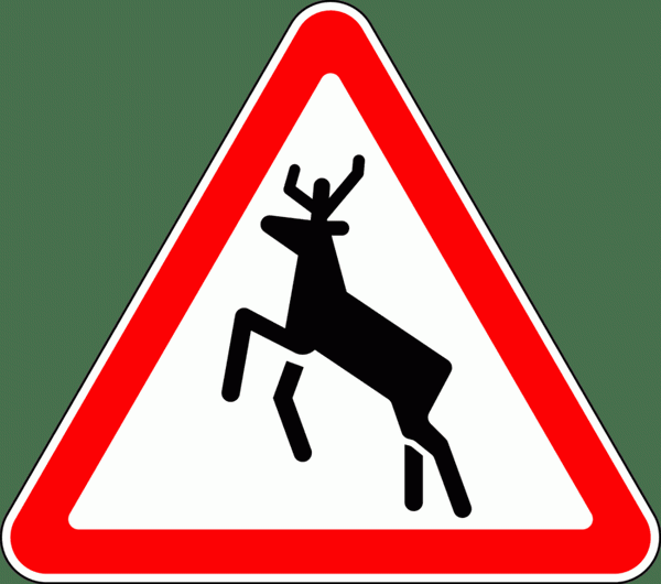Эти знаки устанавливаются в лесистой местности или там, где дикие животные могут выйти на дорогу. Они просто предупреждают, и водителям не нужно снижать скорость.